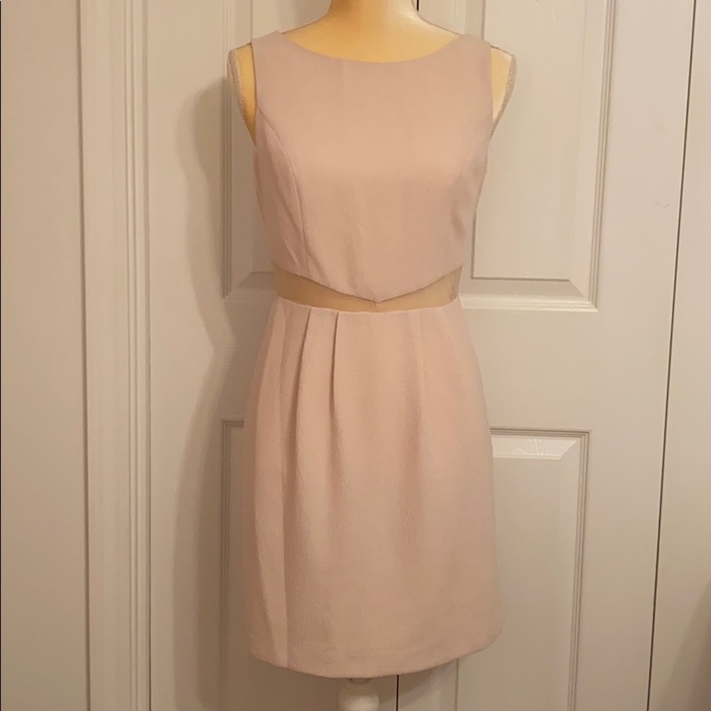 Blush Mini Dress Size Small